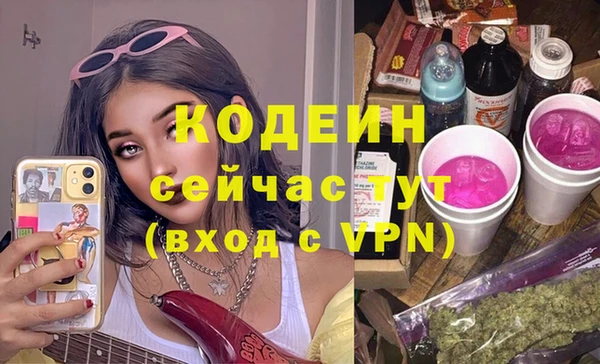 индика Горнозаводск