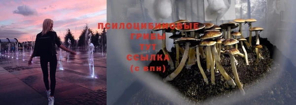 первитин Горняк