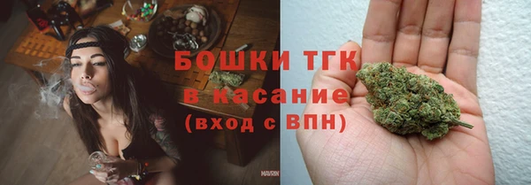винт Гусев