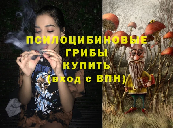 2c-b Гусиноозёрск