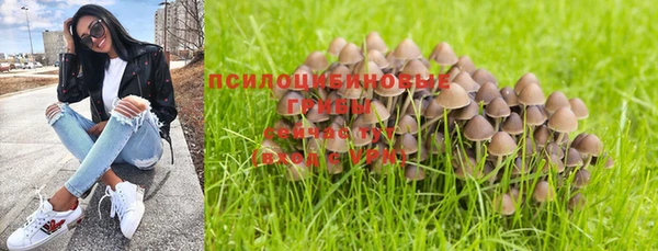 2c-b Гусиноозёрск