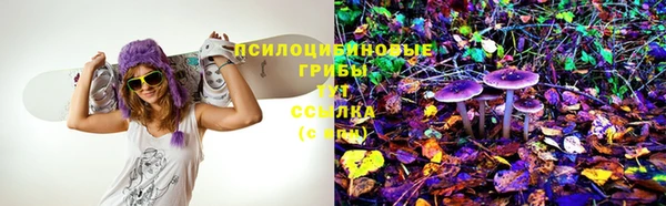 винт Гусев