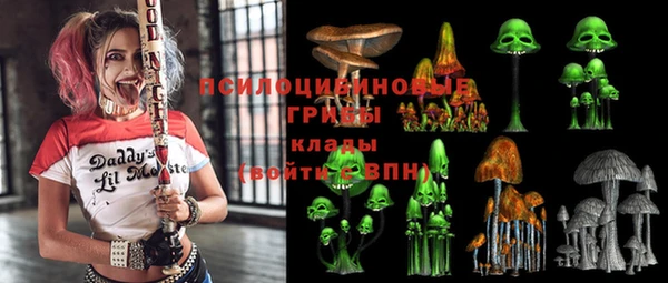 винт Гусев