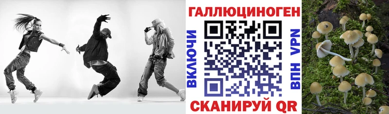 Купить закладки  Клин  Псилоцибиновые грибы Magic Shrooms 